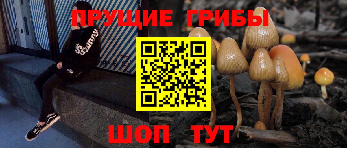 Чебаркуль  Галлюциногенные грибы мицелий  хочу   Вход с VPN 